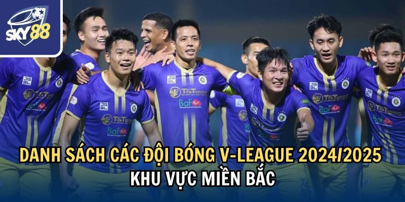 Cập Nhật Danh Sách Các Đội Bóng V-League 2024/2025 2 Danh sách các đội bóng V-League 2024/2025 khu vực miền Bắc